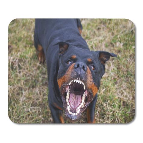 KDAGR Growl Dog Aggressive Rottweiler Barking Mad Angry Fear Mousepad ...