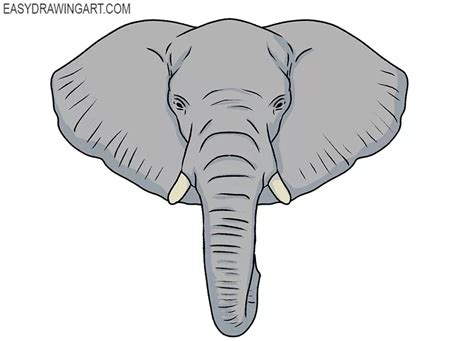 How to Draw an Elephant Face - Easy Drawing Art