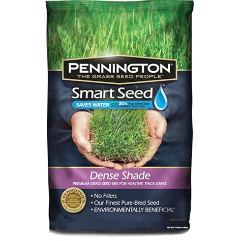 10 Best Grass Seeds for Shade 2020 | Garden Consumers