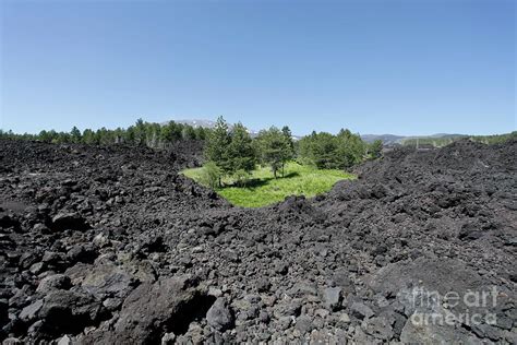 Cooled Lava Flow Photograph by Peter Falkner/science Photo Library - Fine Art America