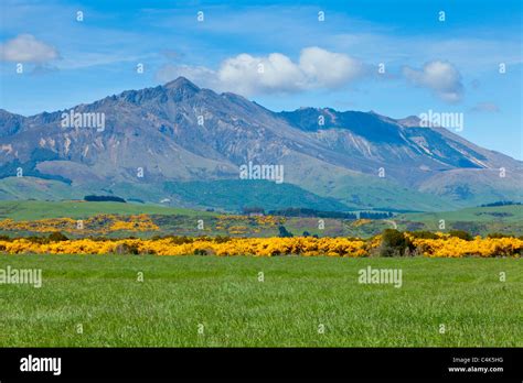 New zealand landscape hi-res stock photography and images - Alamy