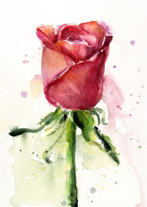 Rose Watercolor Painting by Olga Shvartsur