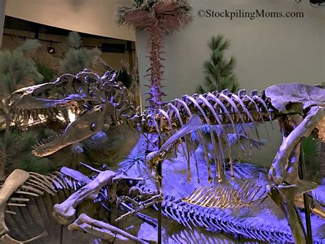 Children's Museum of Indianapolis Dino Sphere - STOCKPILING MOMS™