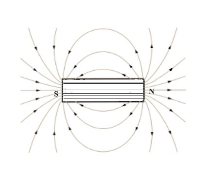 Inside a bar magnet, the magnetic field linesA. are not presentB. are ...