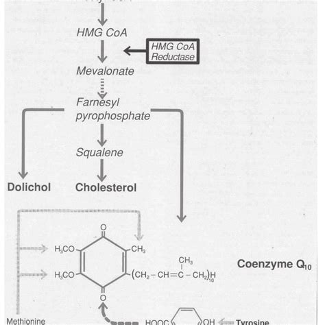 Chemical structure of colesevelam hydrochloride. 28 | Download Scientific Diagram