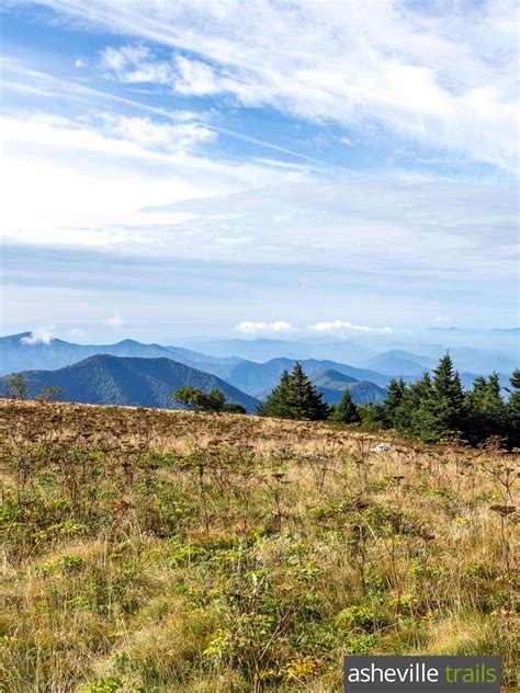 Roan Mountain: hiking the Appalachian Trail to Grassy Ridge ...