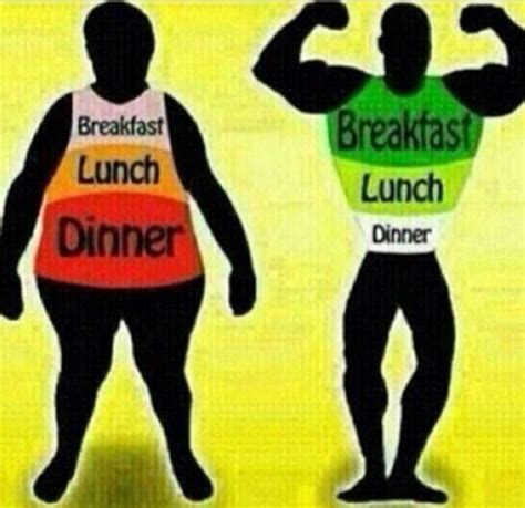 Athlete Diet Breakfast Lunch Dinner Bed - transportrutracker