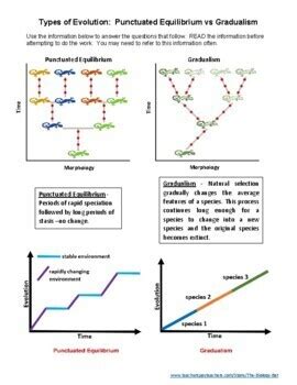 Patterns of Evolution: Gradualism, Punctuated Equilibrium, Divergent ...