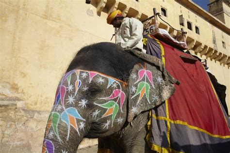 Tourists Enjoy an Elephant Ride at Amer Fort Jaipur Rajasthan Editorial Photo - Image of castle ...