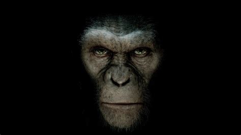 Rise of the Planet of the Apes (2011) - Backdrops — The Movie Database ...