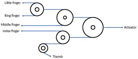 "Federica"'s whippletree mechanism using a multiple-pulley system [20]. | Download Scientific ...