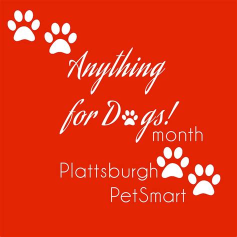 PetSmart-Plattsburgh, NY | Plattsburgh NY