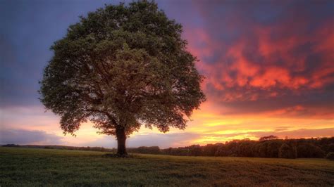 Prachtige Landschappen en Achtergronden voor je Bureaublad