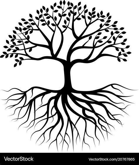 Tree silhouette with root Royalty Free Vector Image