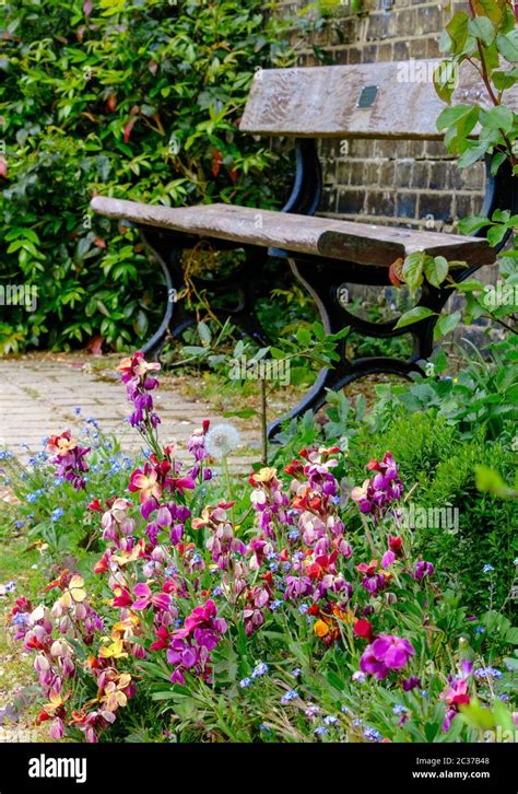 Wooden park bench in front of brick wall with green shrubs next to it & a patch of wild flowers ...