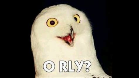 ORLY Owl .. Oh Really Owl