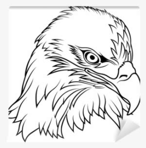 Eagle Head Drawing Transparent PNG - 400x400 - Free Download on NicePNG