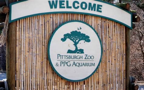 Pittsburgh Zoo & Aquarium: Ideal Time to Go + 50+ Amazing Animals to ...