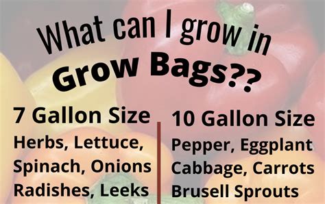 The Homestead Village: Grow Bag Sizes for Vegetables