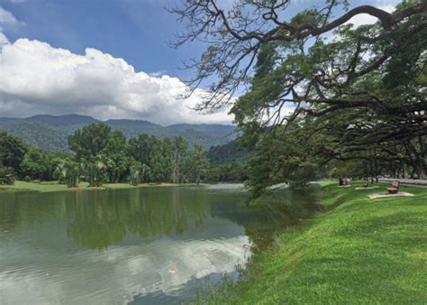 Taiping Lake Garden Map | Fasci Garden