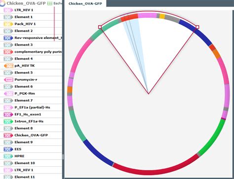 GeneDesigner2.0 | Intelligent, Customizable, User Friendly Algorithms | ATUM - ATUM