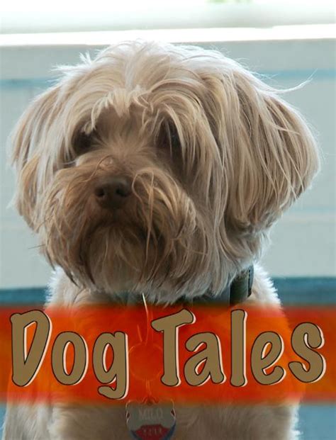 Dog Tales (2007)