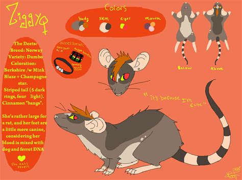 Fursona Reference Sheet by interstellardobe on DeviantArt