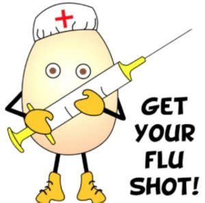 Beat the flu bug by getting a flu shot for the coming winters | The Indian Down Under