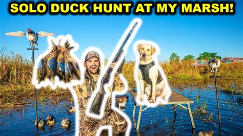 SOLO Duck Hunting My FLOODED MARSH at My FARM!!! Bonus Pigeon! (Catch Clean Cook) - YouTube