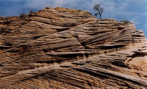 Cross-bedding in the Navajo Sandstone | Zion National Park … | Flickr - Photo Sharing!