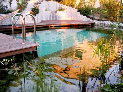 5 Reasons your garden will thank you for choosing a natural swimming ...