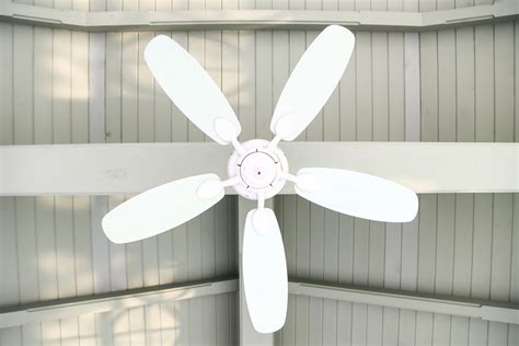 Finding the Right Ceiling Fans: 3 Useful Advice