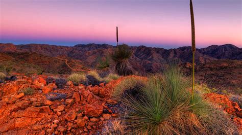 Best Time to Visit The Flinders Ranges - Weather In the Flinders Ranges ...