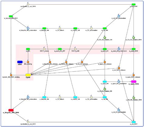 Kinetic model of biapenem inactivation by CphA. The model describes the... | Download Scientific ...