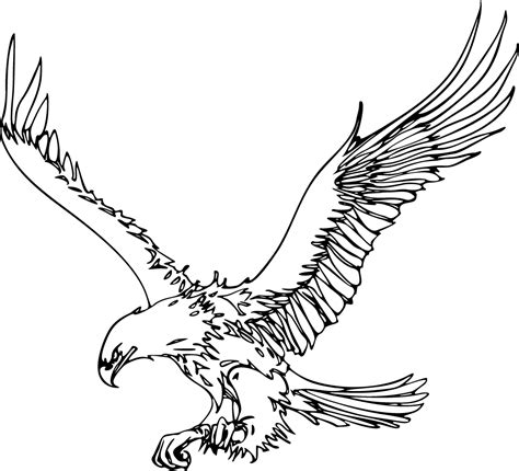 Eagle Clip Art Black and White | Eagle Outline - Cliparts.co | Eagle drawing, Eagle outline ...