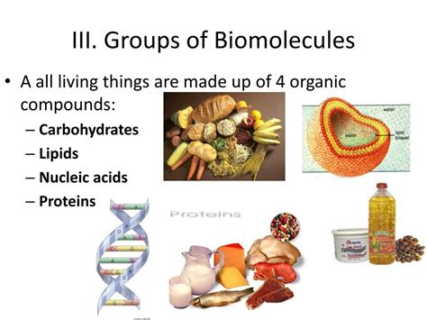 PPT - Organic Compounds: Biomolecules PowerPoint Presentation, free ...