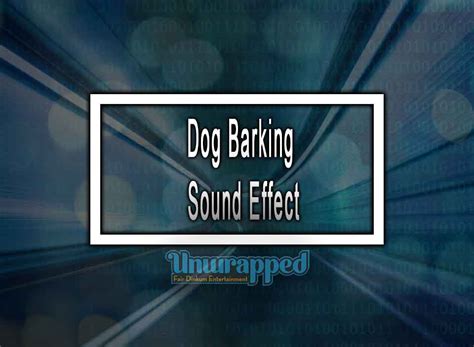 Dog Barking Sound Effect