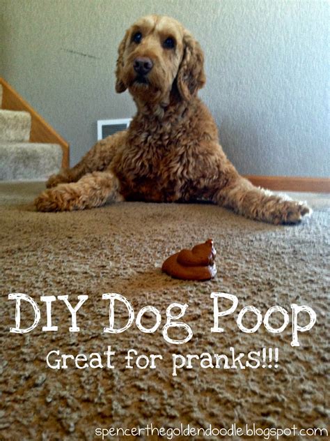 Spencer the Goldendoodle: April Fools Day Prank: DIY Dog Poop