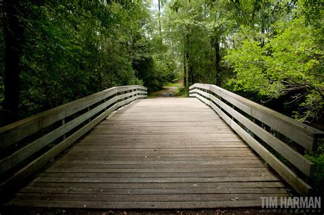 The Battle of Moore’s Creek Bridge – Tim Harman Photography