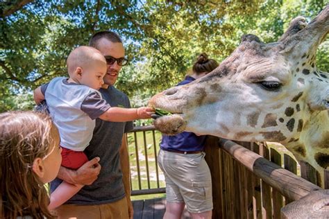 14 Ways to Enjoy the North Carolina Zoo - Charlotte Parent