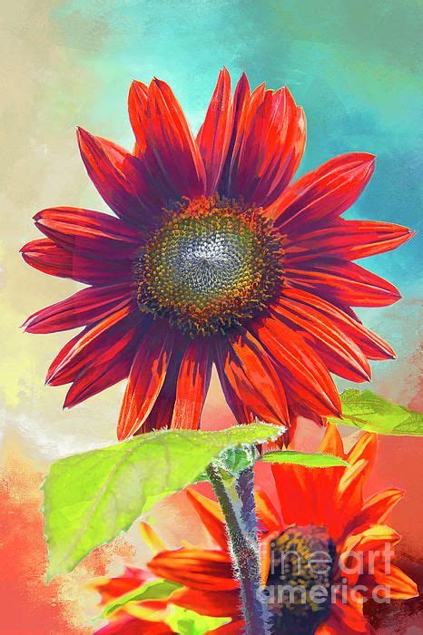 Make a bold contemporary statement with this red sunflower art piece on your wall to coordinate ...