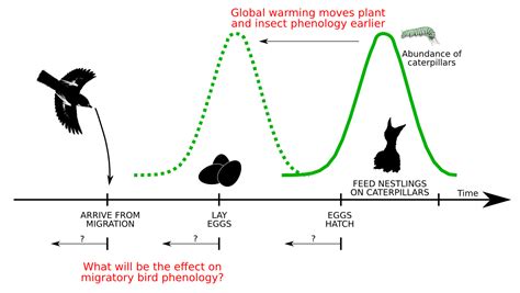 Evolutionary_ecology | Nadiah Pardede Kristensen