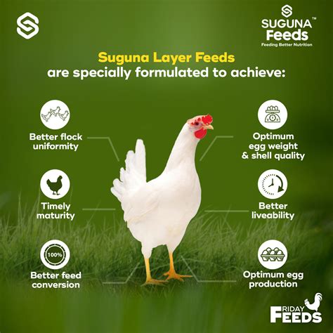 Suguna Foods on Twitter: "Just like you, your poultry also deserves the ...