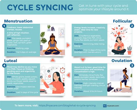 Menstrual Cycle Phases And Symptoms