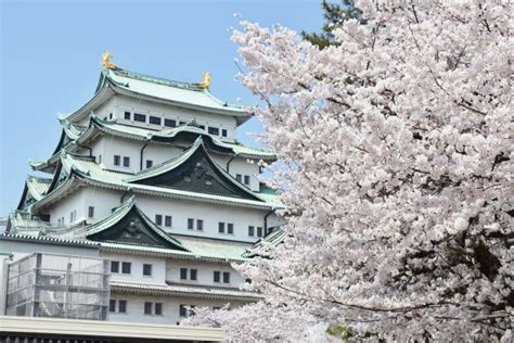 The 10 Best Places to See Cherry Blossom in Nagoya, Japan | SeeingJapan