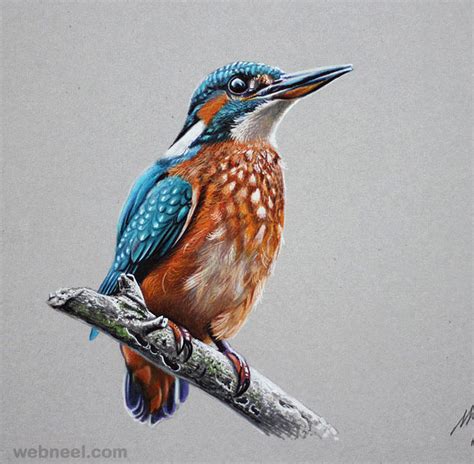 50 Beautiful Color Pencil Drawings from top artists around the world