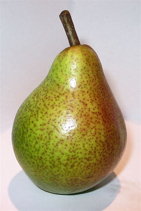 Plik:Yet another pear.jpg – Wikipedia, wolna encyklopedia