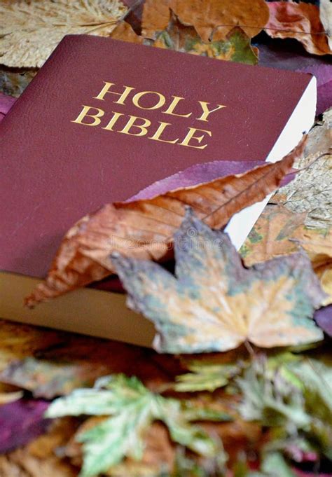 Bible between Colorful Autumn Leaves Stock Image - Image of background, autumn: 101237053