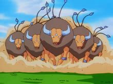 Ash's Tauros - Bulbapedia, the community-driven Pokémon encyclopedia