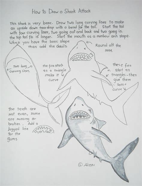 How to Draw Worksheets for The Young Artist: How to Draw a Shark Attack ...